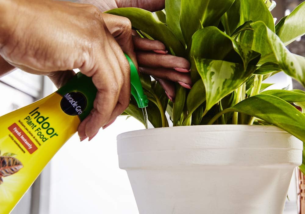 Liquid Indoor Plant Food - 8 Oz - Feeds All Indoor Houseplants - Including Edibles - Instantly / 6 Pack