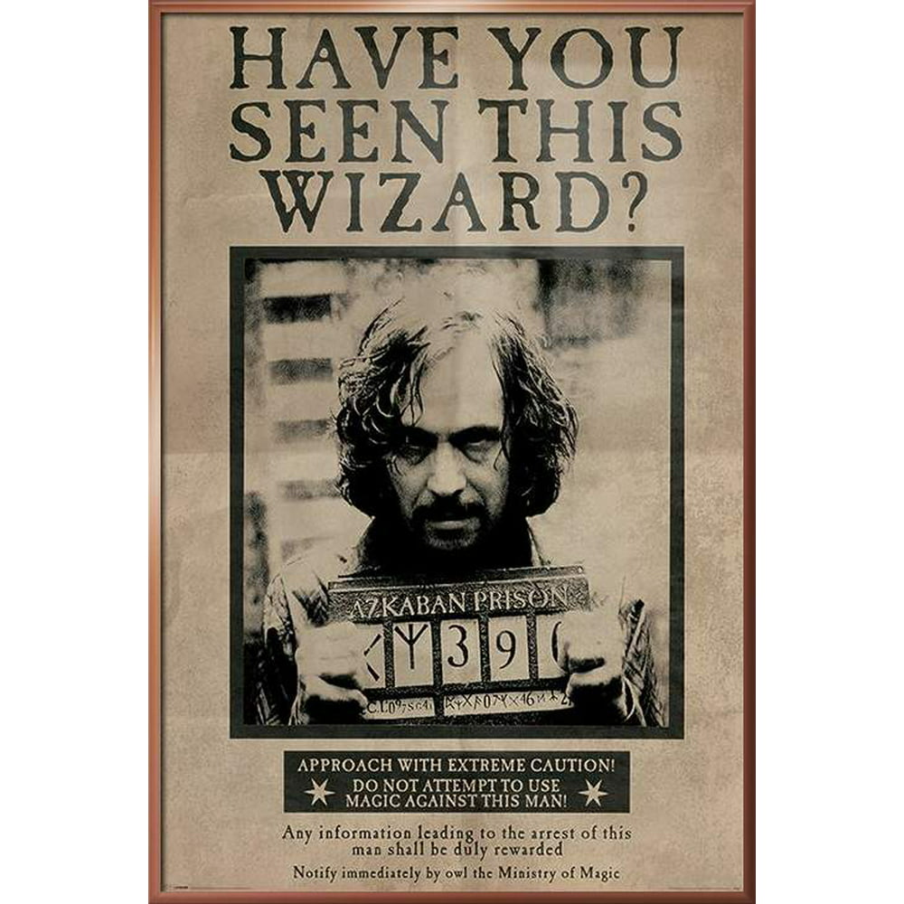 Harry Potter And The Prisoner Of Azkaban Framed Movie Poster / Print