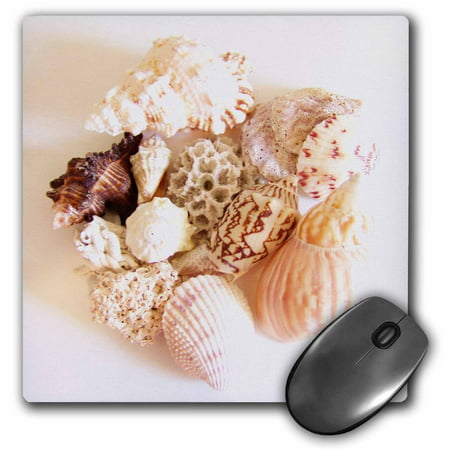 3dRose She Sells Sea Shells, Mouse Pad, 8 by 8 (Best Way To Sell Laptop)