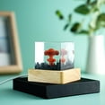 thumbnail image 4 of Aimeryup Mushroom Cloud Nuclear Explosion Lamp,Atomic Bomb Model Atmosphere Lamp Decoration Creative Gifts for Kids (Mushroom Cloud), 4 of 8