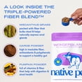 thumbnail image 4 of Native Pet WonderGland Fiber Supplement for Dogs, Digestive and Anal Gland Support, 8oz, 4 of 10