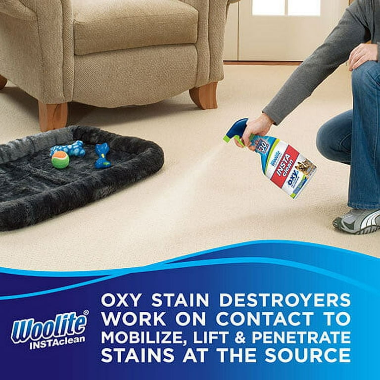 Woolite Instaclean Oxy Pet Stain Remover with Brush - Shop Carpet &  Upholstery Cleaners at H-E-B