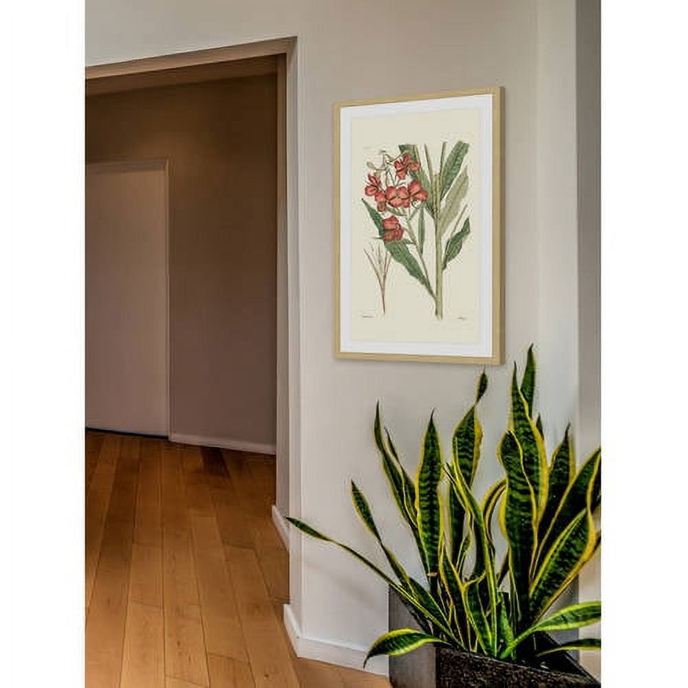 "Antique Floral III" Framed Painting Print