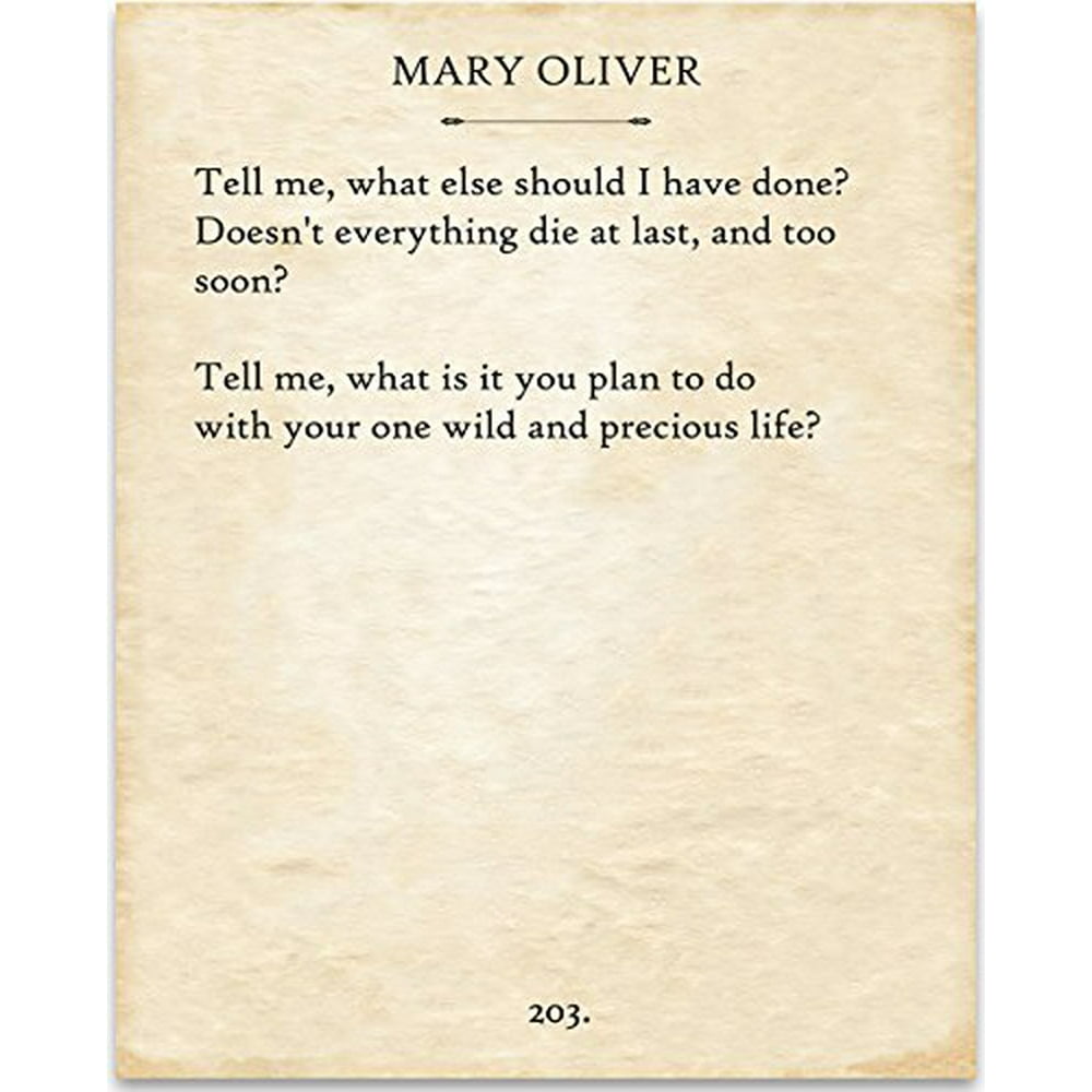 Mary Oliver The Summer Day. 11x14 Unframed Typography Book Page