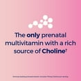 One A Day Advanced Prenatal Multivitamin with Choline, 30+30 Count