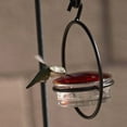 thumbnail image 2 of jesticaly 3pcs Hummingbird Diet Feeding Device Circular Platform For Hummingbirds To Rest red, 2 of 6