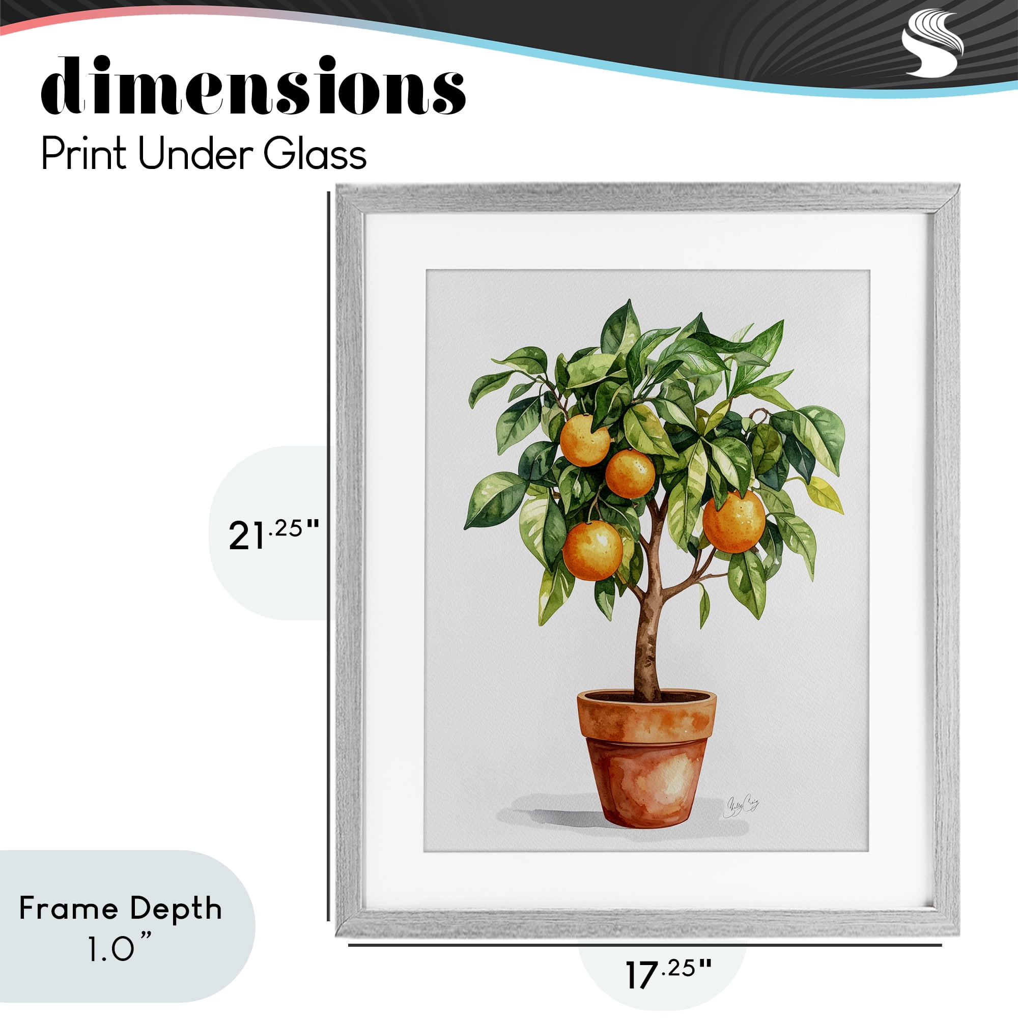 Stupell Industries Potted Orange Tree Gray Framed Print Under Glass, design by Shelly Craig