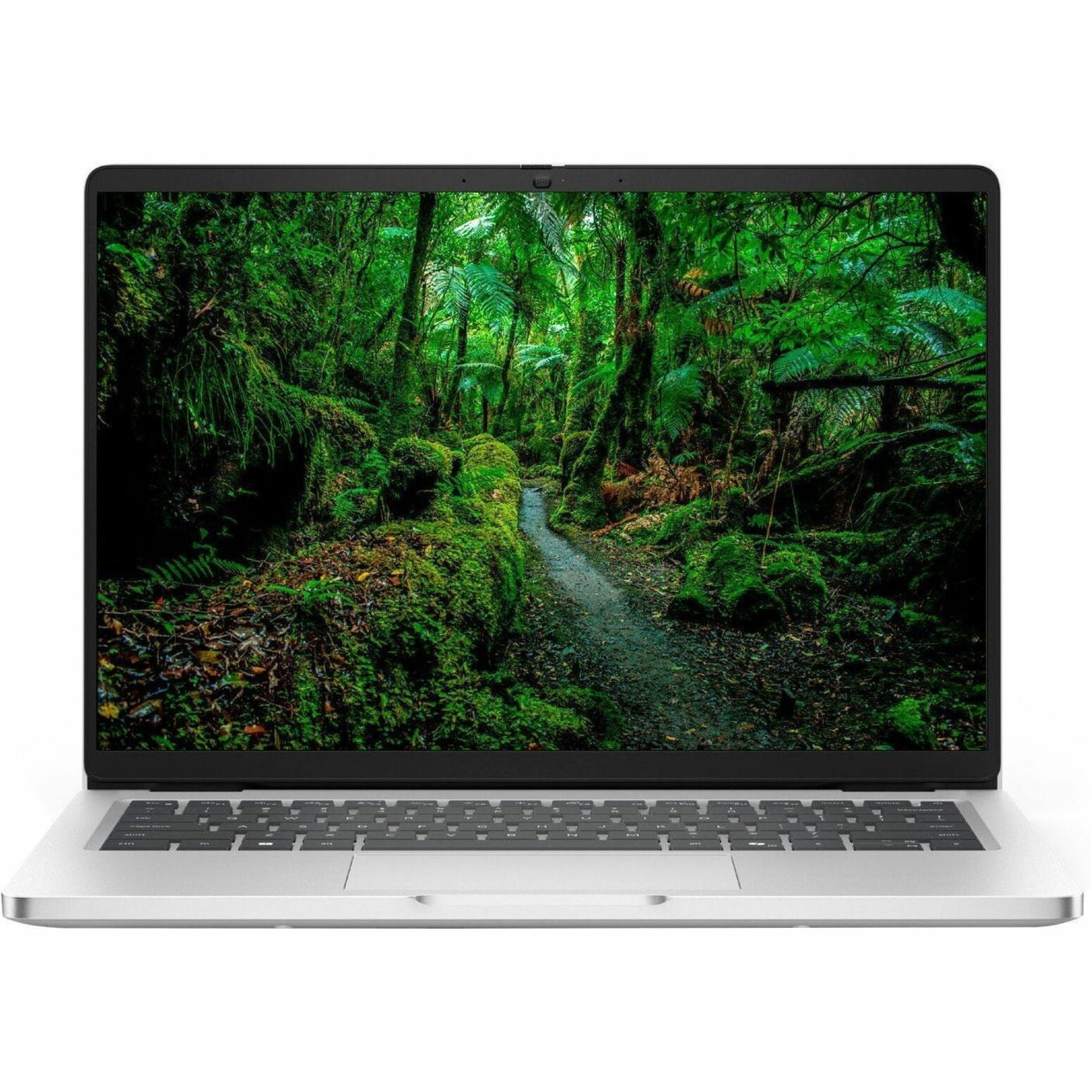 Dell Pro