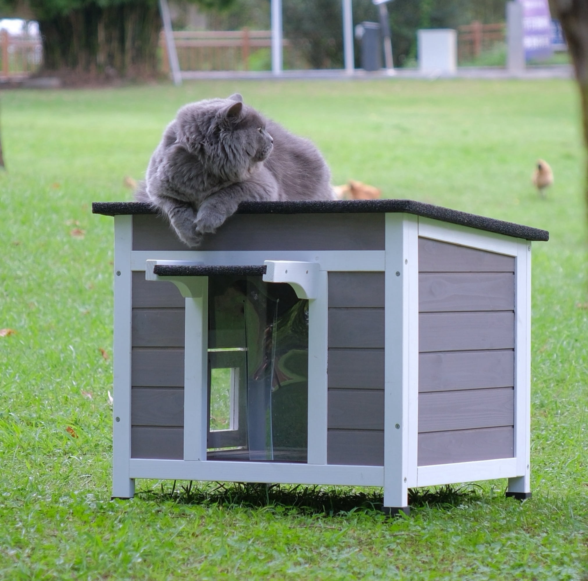 Outdoor Cat House Feral Cat Enclosure for Small Cat Dog Shelter