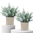 thumbnail image 1 of Plantas artificiales de eucalipto MIXROSE, paquete de 2, pequeñas en maceta, 1 of 6