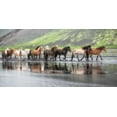 thumbnail image 2 of Burchett, P.H. 24x14 White Modern Wood Framed Museum Art Print Titled - Icelandic Horses XIV, 2 of 4