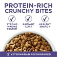 thumbnail image 4 of Purina ONE Plus, Hairball Formula Dry Cat Food, Chicken, 7 lb Bag, 4 of 11