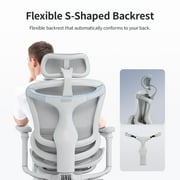 Sihoo Doro-C300 Ergonomic Chair, 3D Armrests Swivel Chair, Adaptive Lumbar Support Office Chair, Ergonomic Desk Chairs for Adults, Comfort Home Office Chair, Gray