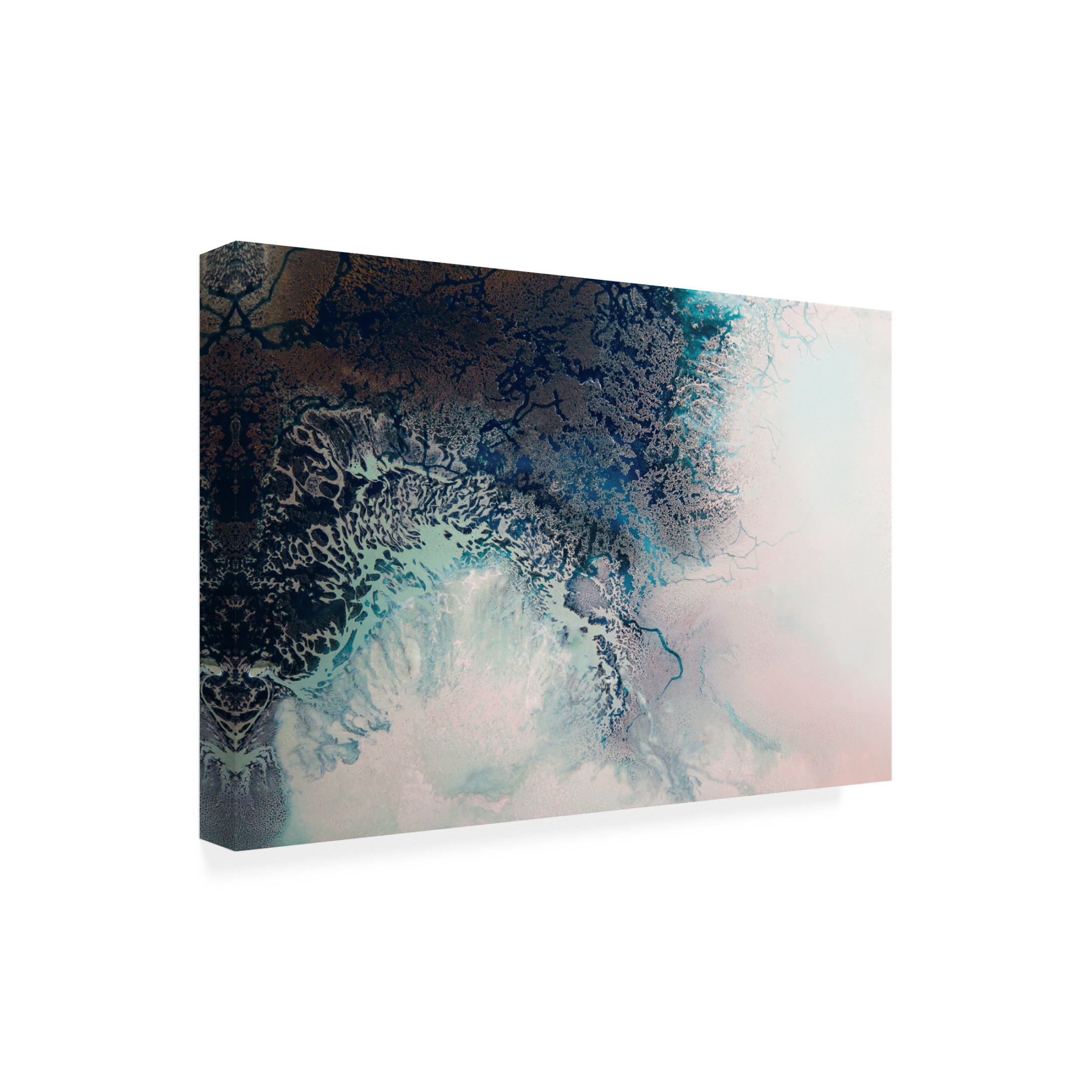 Canvas Wall Art - Petra Meikle de Vlas 'Intricacy' Wall Art for Living Room, Bedroom, or Office Décor by Trademark Fine Art - 19 x 12 Inches