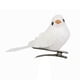 thumbnail image 3 of 12 Unids / set Pájaros Artificiales CUTICAT Decoración de Jardín DIY Ad Blanco, 3 of 7