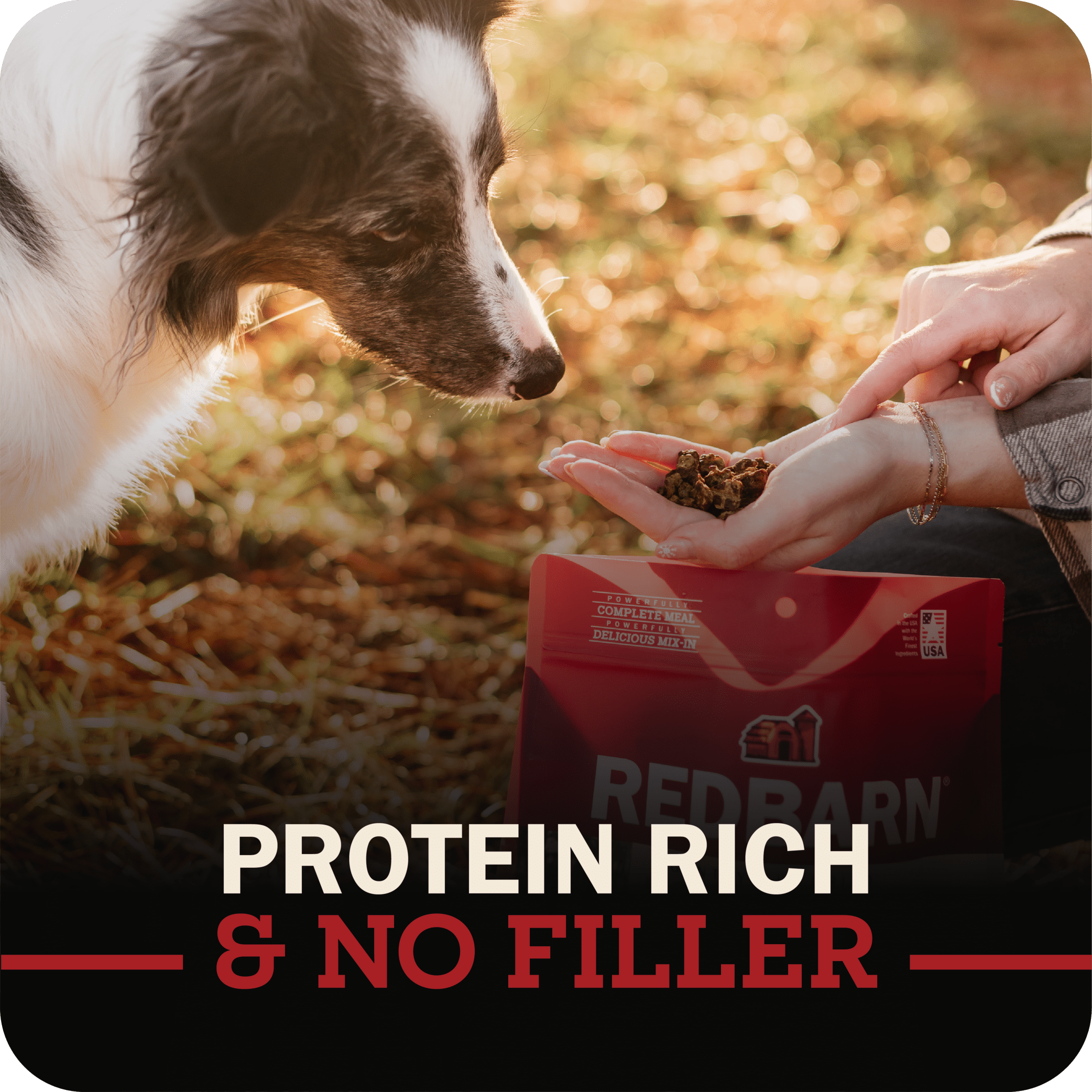 Redbarn Pet Products Air-Dried Dog Food