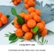 thumbnail image 4 of Naranja artificial Simulación de naranja falsa Mini naranja para decoración de festivales de cocina y fiestas en el hogar, 4 of 5