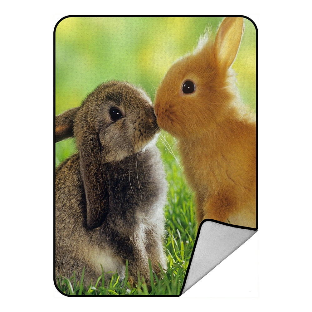 GCKG A pair of cute fluffy bunny Rabbits Fleece Blanket Crystal Velvet