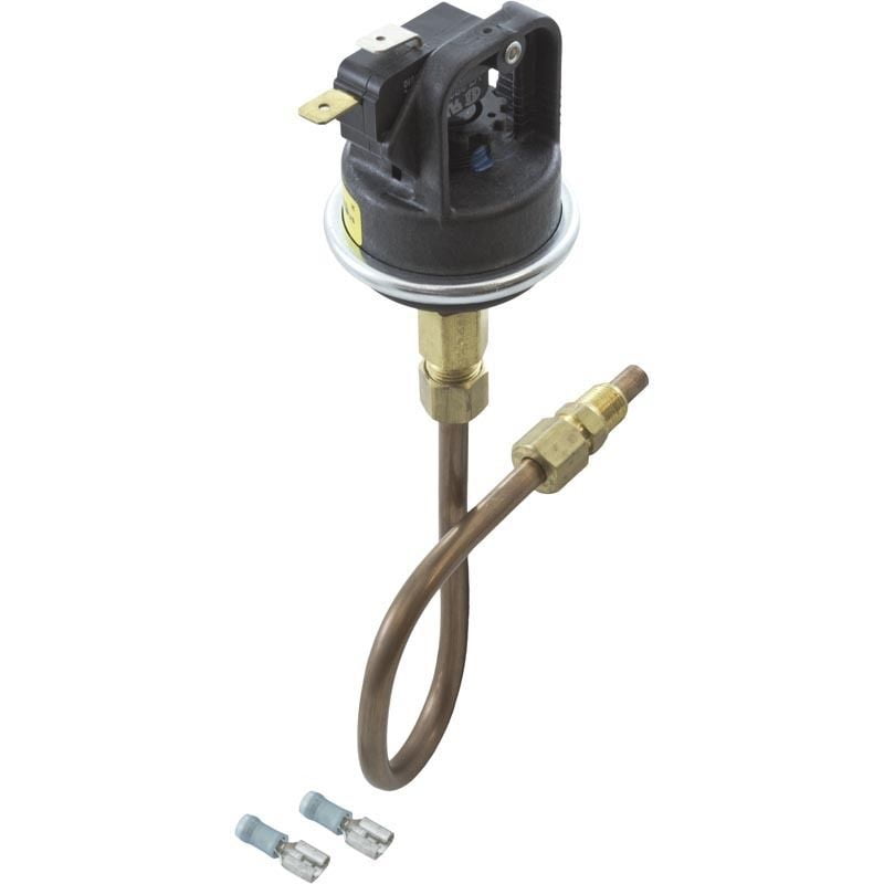 Raypak 003651F Pressure Switch with Tubing