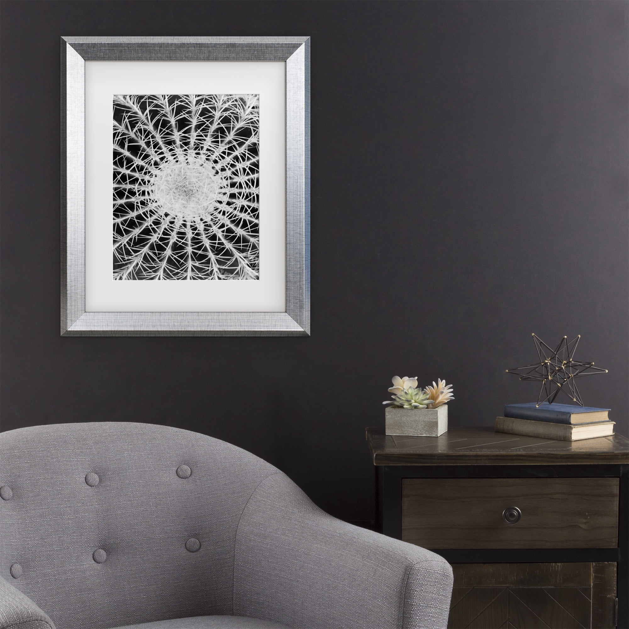 Trademark Fine Art 'Barrel Cactus' Canvas Art by Kurt Shaffer