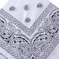 thumbnail image 1 of Cooling Towel Sports Towel for Riding Running Hiking Beach Activities Gym, 1 of 3