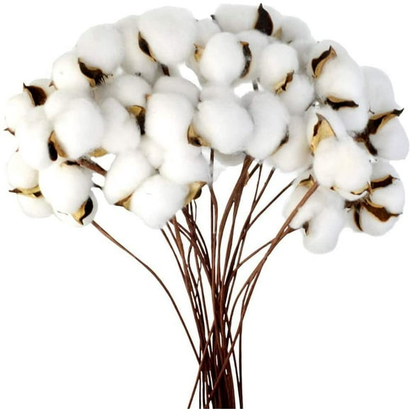 Cotton Branch Natural Stem Farm Dried Flowers Cotton Branches Cotton Plant Artificial Dried Flowers (20 pcs)