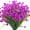 Fuchsia, variant on ZOELNIC 6 Bundles Artificial Flowers Outdoor Fake Flowers UV Resistant, Spring Summer Faux Flowers Shrubs Plants Plastic Flowers for Outside Garden Porch Window Box Decoration(Fuchsia)