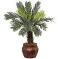 thumbnail image 1 of 3.5 ft. Cycas Tree in Wood Planter, 1 of 1