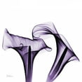 thumbnail image 2 of Koetsier, Albert 15x15 White Modern Wood Framed Museum Art Print Titled - Violet Calla Twins, 2 of 4
