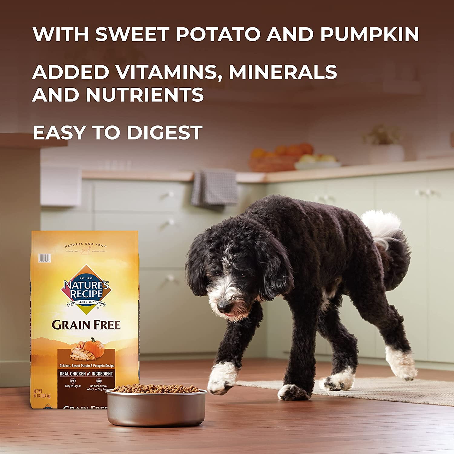 nature's recipe grain free salmon sweet potato and pumpkin