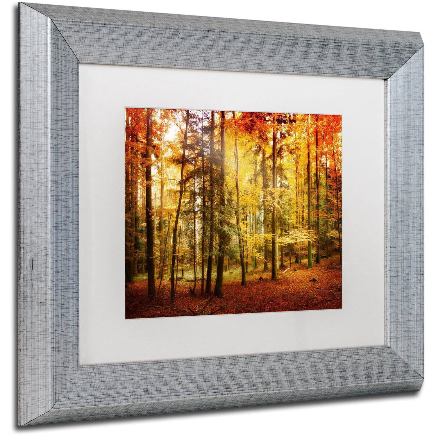 Trademark Fine Art "Fall Color" Canvas Art by Philippe Sainte-Laudy White Matte, Silver Frame