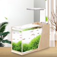 thumbnail image 2 of Desktop Fish Tank Water Free Mini Side Filter Landscaping Acrylic Ecological Small Creative Office Aquarium Micro Tank Fish Tank, 2 of 5
