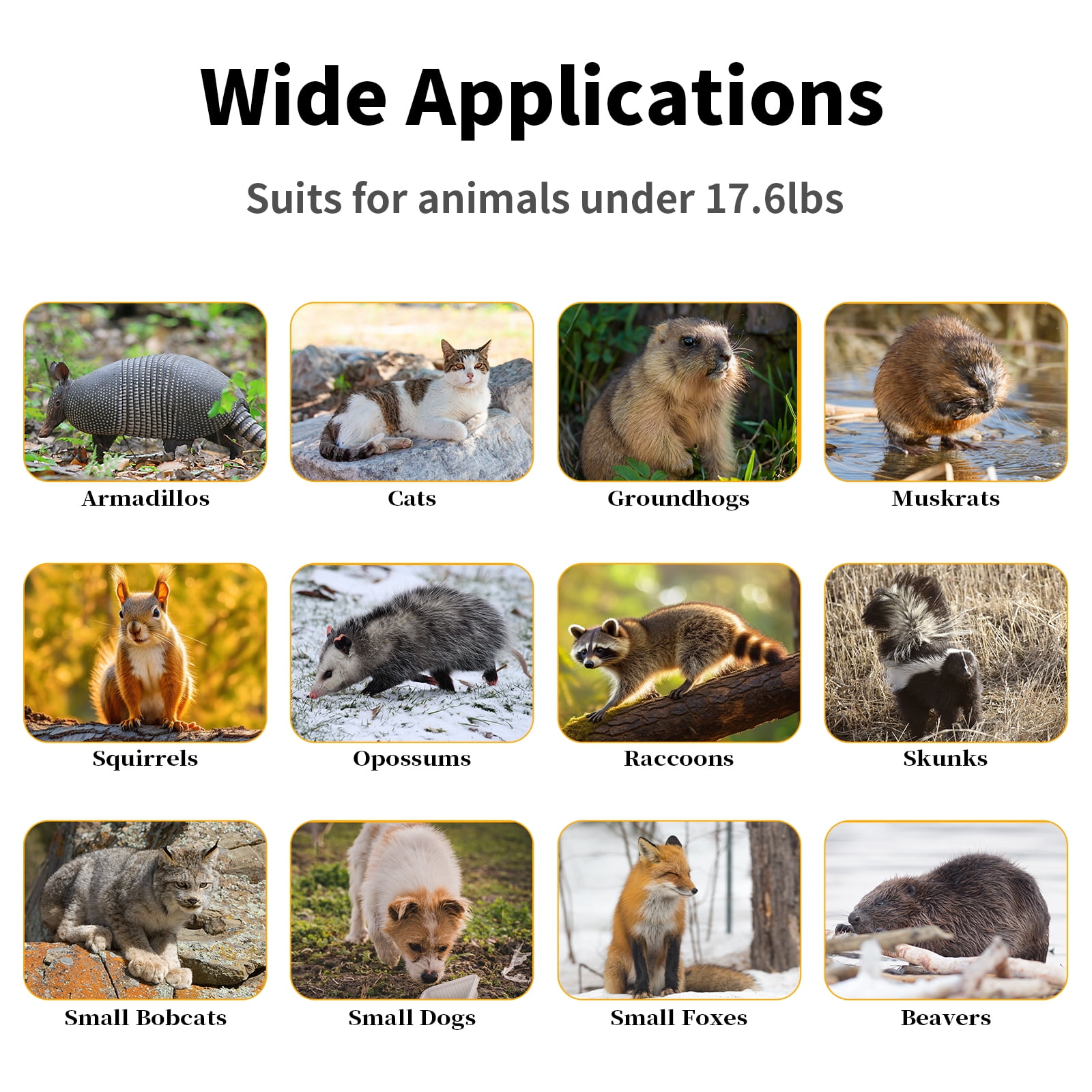40" 2-Door Large  Live Animal Traps for Stray Cats up to 17.6 Pounds, Raccoons, Squirrel