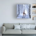 thumbnail image 2 of Trademark Fine Art The Macneil Studio Christmas Magic Canvas Wall Art - 14x14, 2 of 5