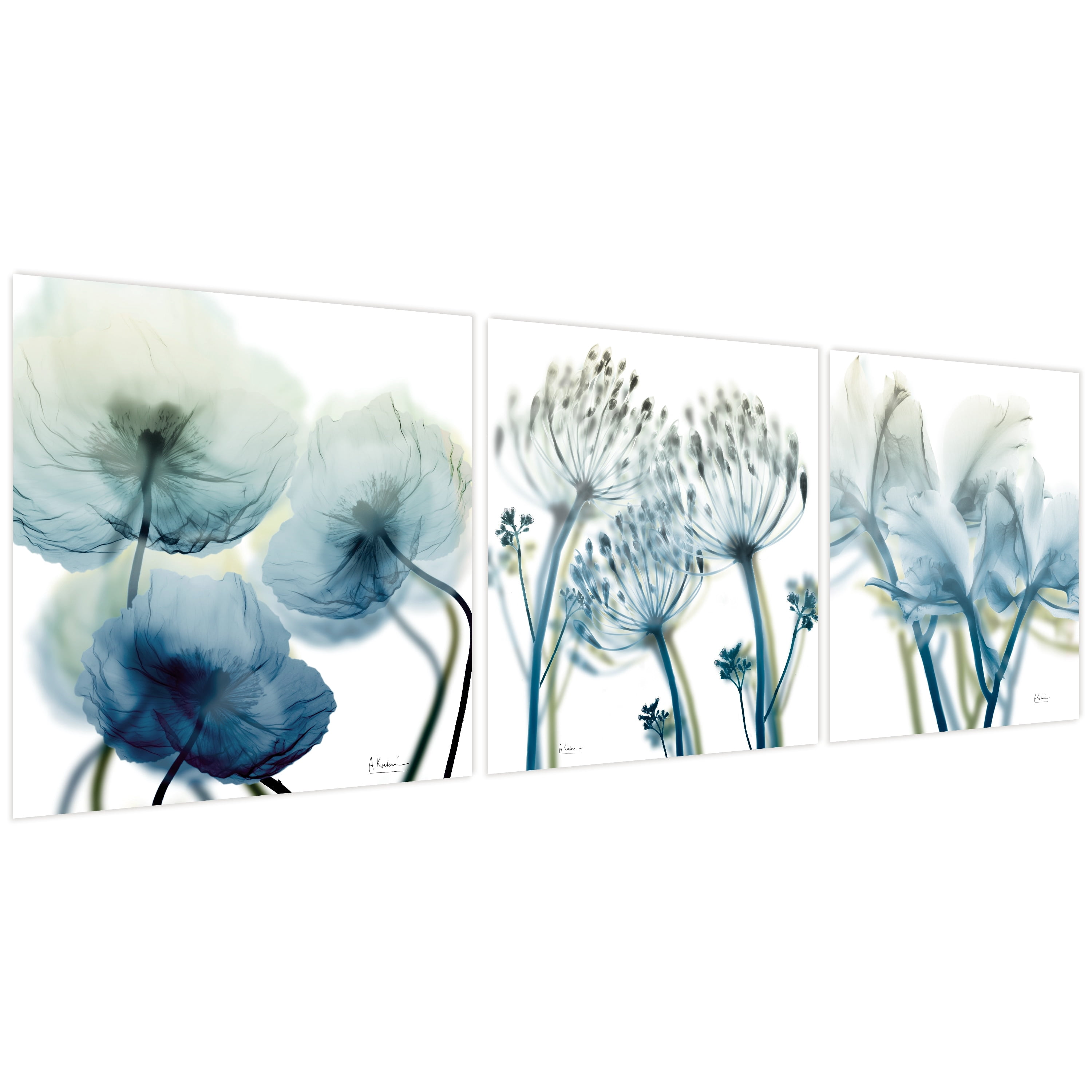 Unfocused Beauty Triptych 24 in x 24 in Painting Art Prints, by Empire Art Set of 3