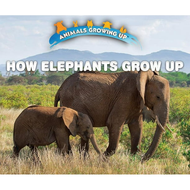 How Elephants Grow Up - Walmart.com - Walmart.com