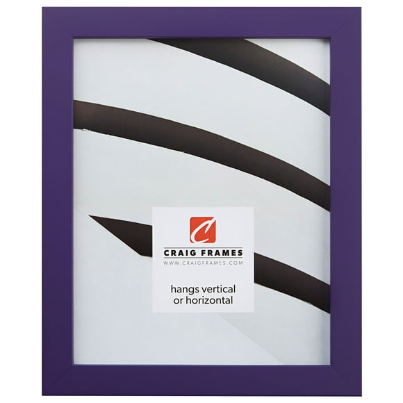 Craig Frames Confetti Modern Purple Picture Frame 10 x 13 Inch