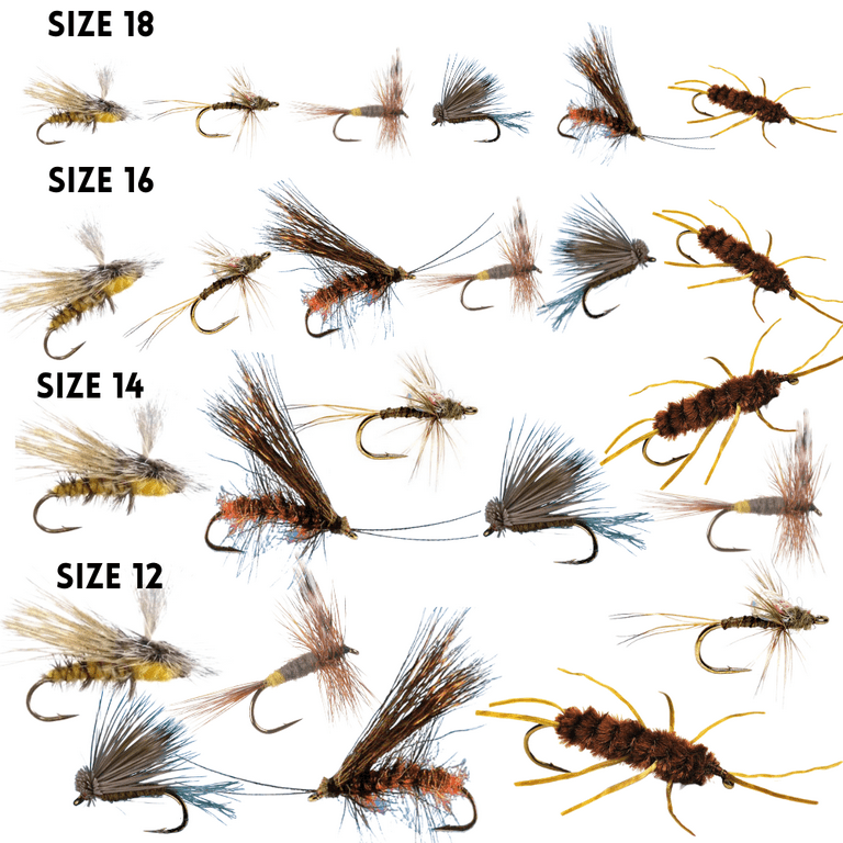 24 Dry Fly Assortment, Elk Hair Caddis Black, Fluttering Salmon Fly, Baetis  Dun, Stimulator Orange Rub Leg, Black River Caddis, Stimulator Olive.