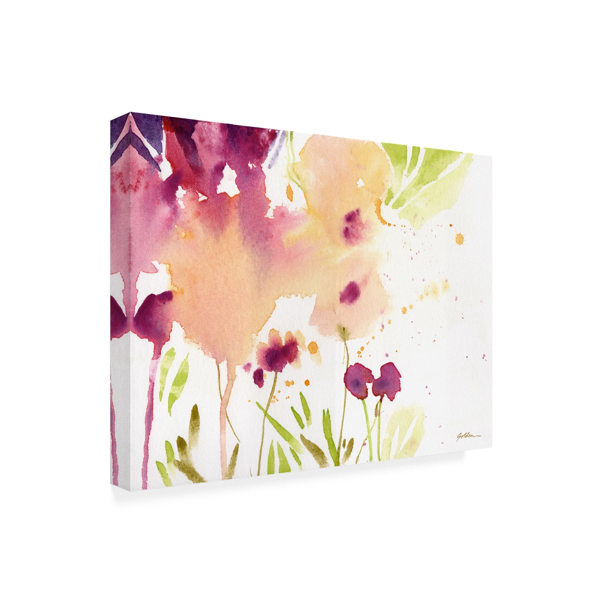 Trademark Fine Art 'Maroon' Canvas Art by Sheila Golde