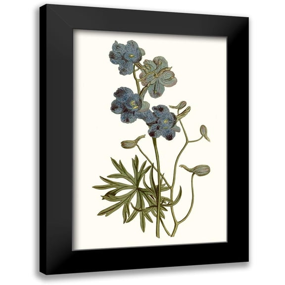 Curtis 11x14 Black Modern Framed Museum Art Print Titled - Soft Blue Botanicals V