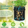thumbnail image 6 of Fabulas Potato Grow Bags, 6 Pack 10 Gallon Potato Planter with Reinforced Handles and Harvest Window, Heavy Duty Nonwoven Fabric Pots for Growing Potatoes Tomatoes Carrots Vegetables, 6 of 6