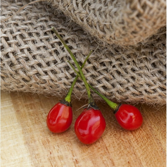 Sherwood's Seeds Premium 10 Texas Chiltepin Heirloom Pepper Plant Seeds