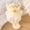 Multicolor, variant on Chinese Zodiac Doll Soft Stuffed Animal Toy Cute Fortune Charm For Kids Adults Indoor Outdoor