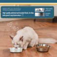 thumbnail image 5 of Light Stainless Steel Anti-Slip Dog Cat Bowl (Set of 2), 5 of 5