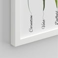 thumbnail image 5 of PixonSign Framed Wall Art Floral Botanical Flower Collection with Names Illustrations Posters, Set of 4 Multicolor Wildflowers Modern Art, Nature Canvas Prints for Home Decor - 8"x10" White, 5 of 5