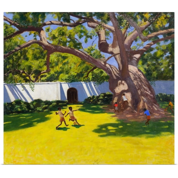 Great BIG Canvas | Rolled Andrew Macara Poster Print entitled Ancient Campor Tree, Vergelegen Estate, South Africa