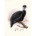 thumbnail image 2 of Joseph Smit 11x14 Gold Ornate Wood Frame and Double Matted Museum Art Print Titled - Numida Pucherani. (1872), 2 of 4