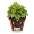 thumbnail image 3 of Self Watering Planter - 6.9 inch Diameter for Flower Pot with Bottom Watering Level Indicator for All House Plants Flowers Herbs Brown, 3 of 5