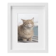 thumbnail image 1 of DesignOvation Gallery 8" x 10" Matted to 5" x 7" White Picture Frame, 1 of 5