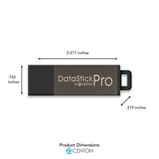 Centon USB 2.0 Datastick Pro (Grey) 32GB
